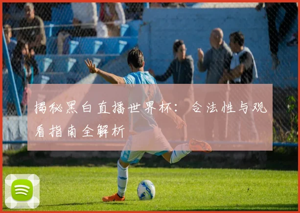 揭秘黑白直播世界杯:合法性与观看指南全解析