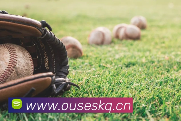 开云网页版平台生态图