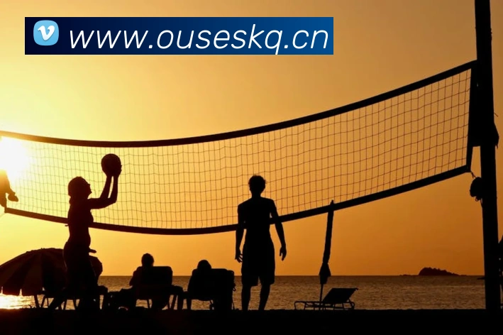 开云网页版APP 封面图